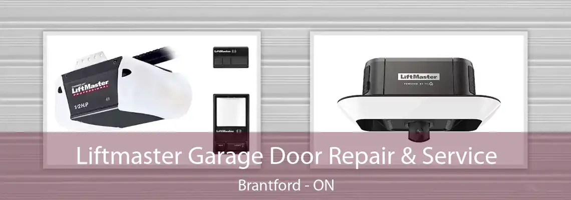 Liftmaster Garage Door Repair & Service Brantford - ON